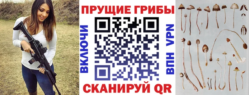 Галлюциногенные грибы прущие грибы Каменногорск