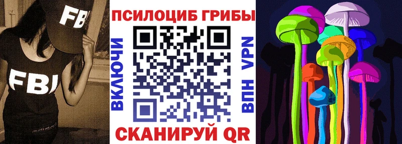 blacksprut как войти  Каменногорск  Псилоцибиновые грибы мицелий 